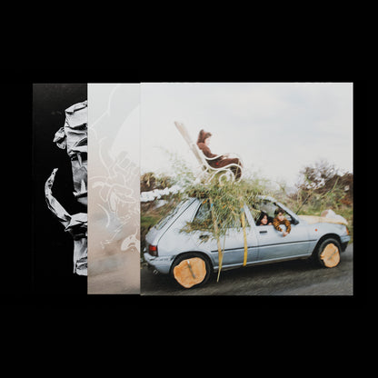 Vinyles "Les fées" + "Les monstres"